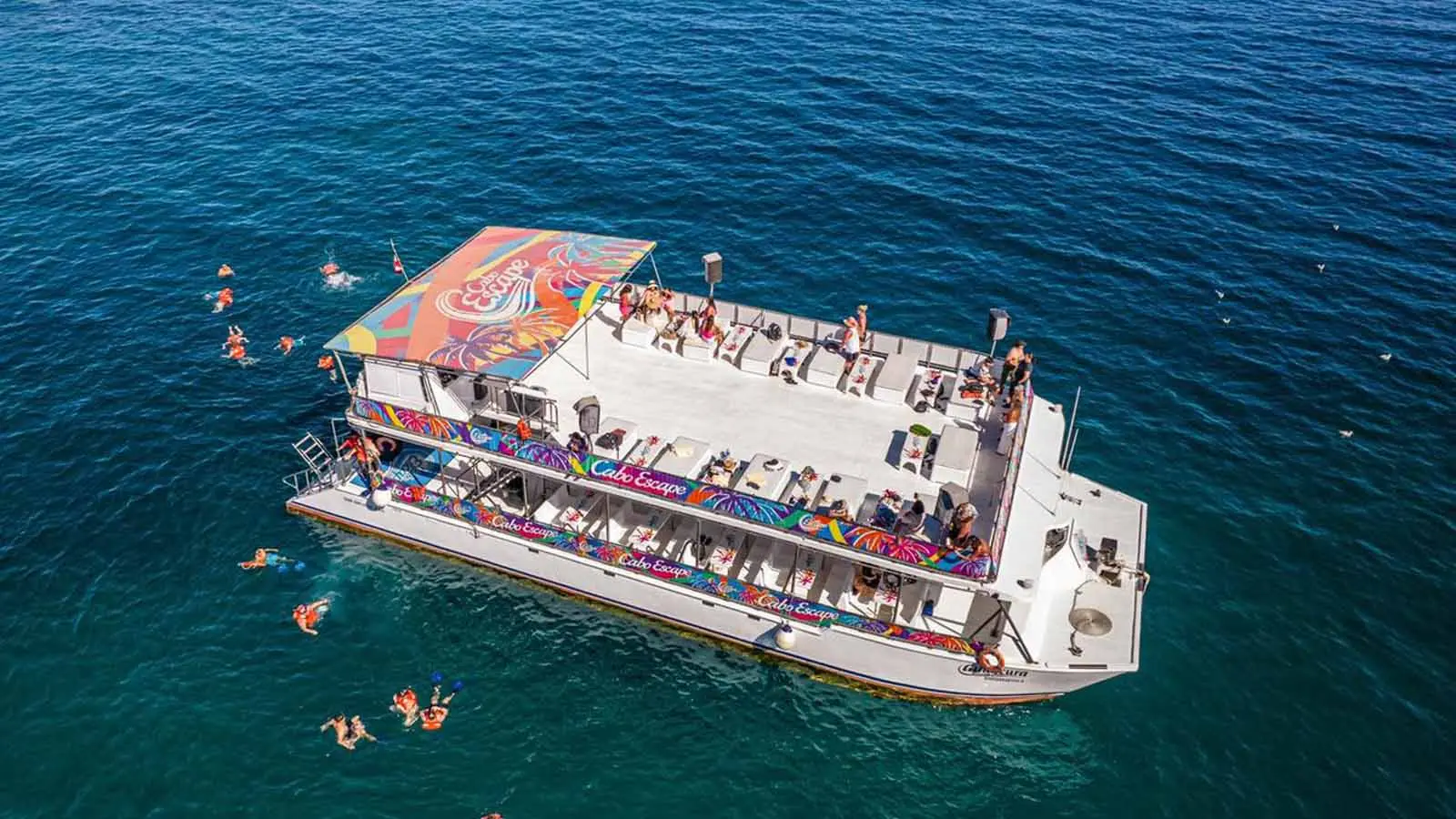 Conoce el arco, snorkel, una comida y barra libre