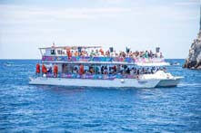 Cabo Sunset Cruise
